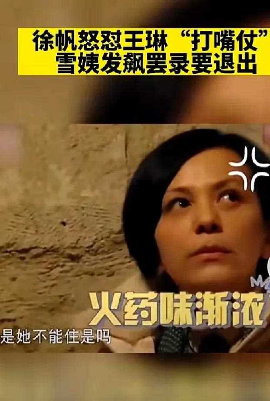 徐帆指着王琳说:"你这是想打嘴仗是吗?"王琳说:"我没有打嘴仗!