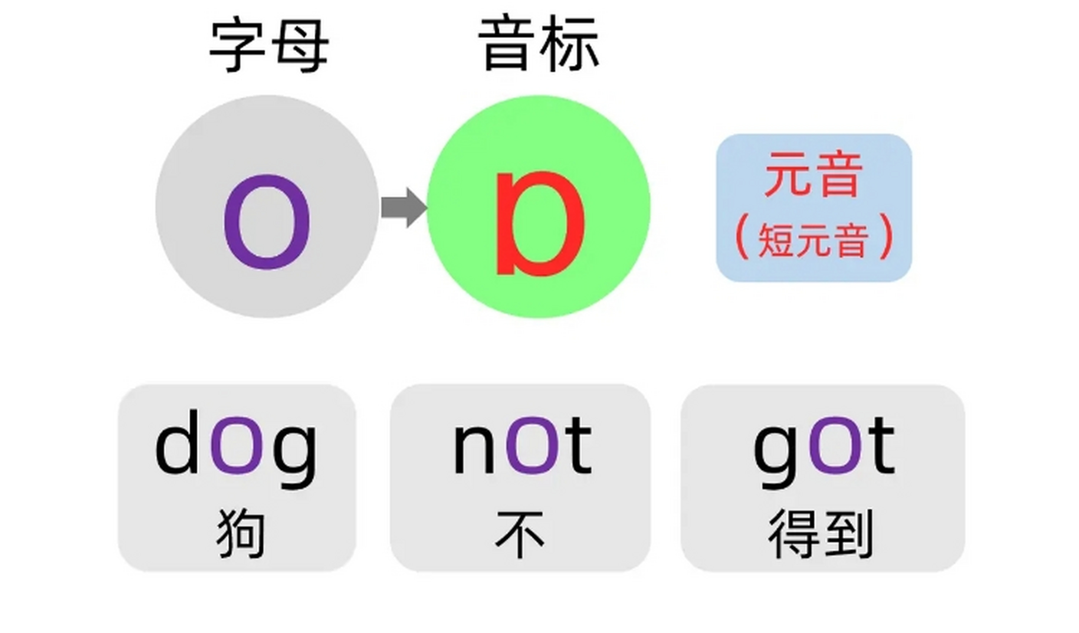 字母o的书写图片