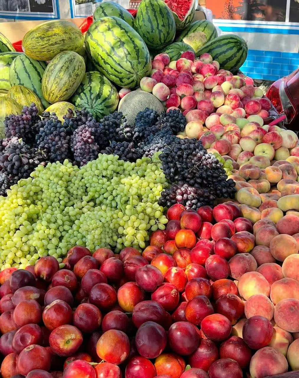 新疆水果美如画.