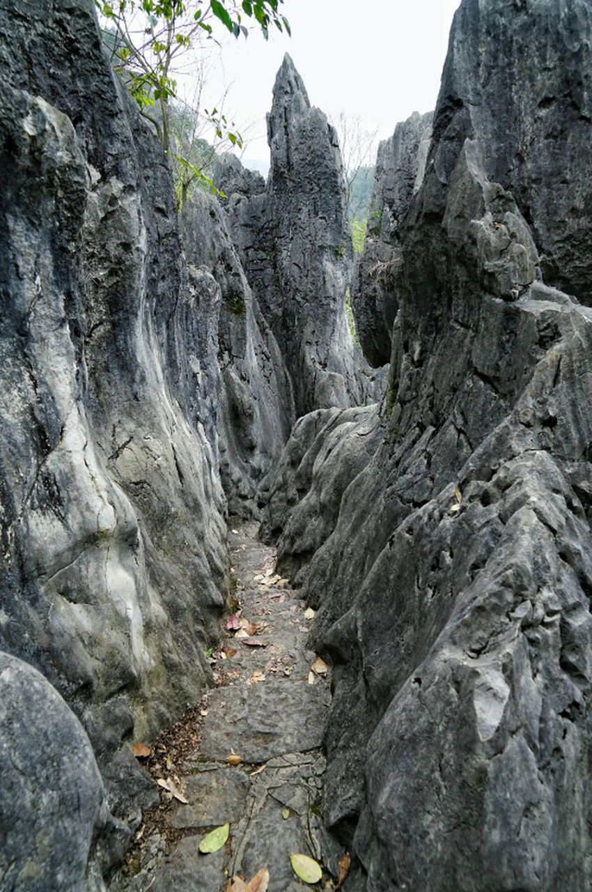 兴文县周边旅游景点图片