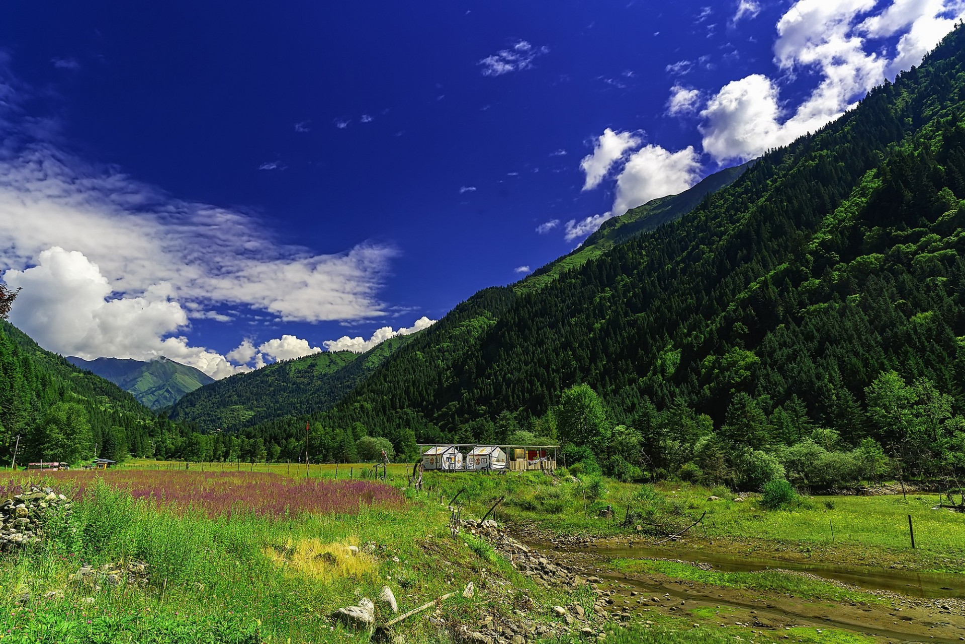 泽娜措  达古冰川位于四川省阿坝藏族羌族自治州黑水县芦花镇马桥