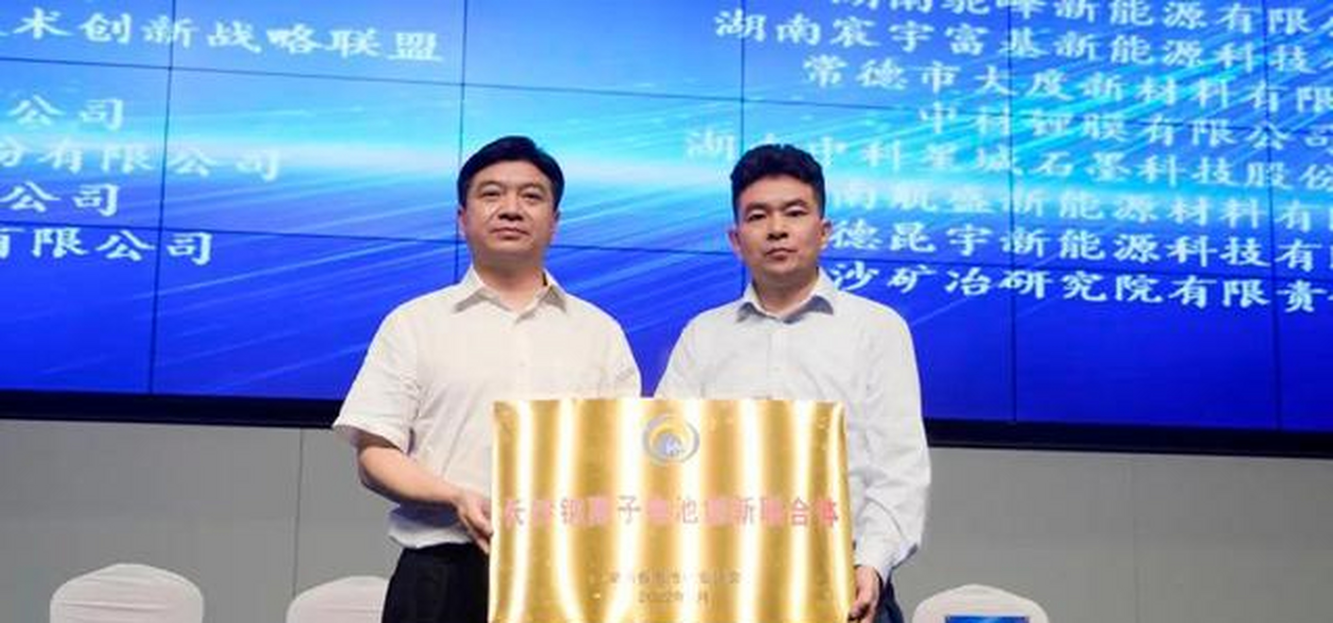 邓伟明在发言中表示,技术研发一直都是中伟的核心竞争力,当前,中伟