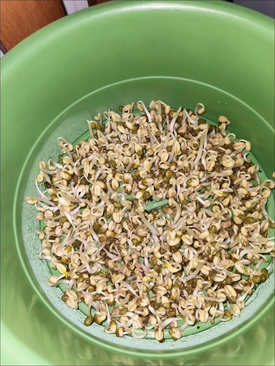 芽菜是超级食物的一种,这些发芽的种子会对你的健康起到有效的改善.