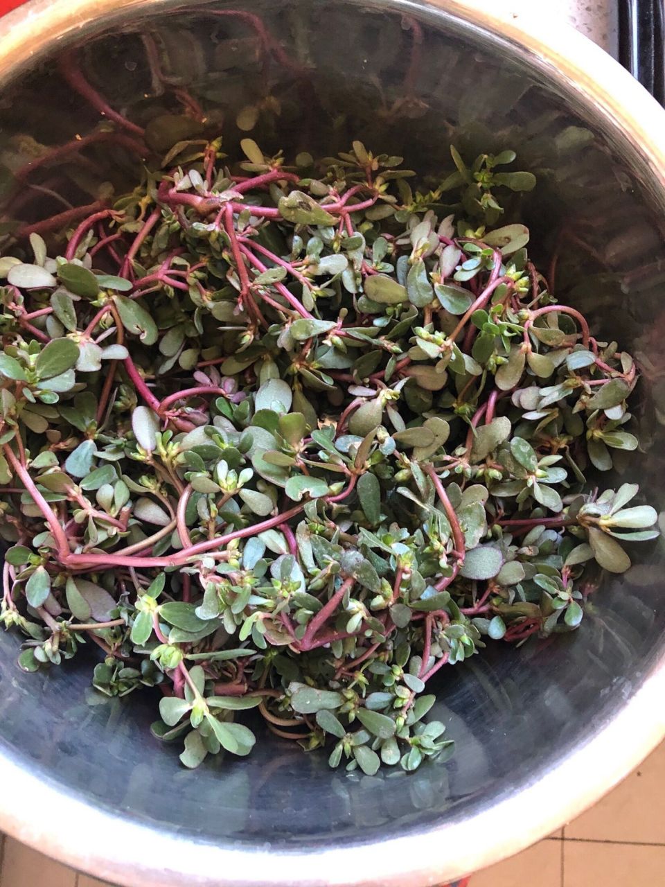 色斑连根拔起,脸蛋干净白皙一辈子  取适量新鲜马齿苋,捣碎,然后加入