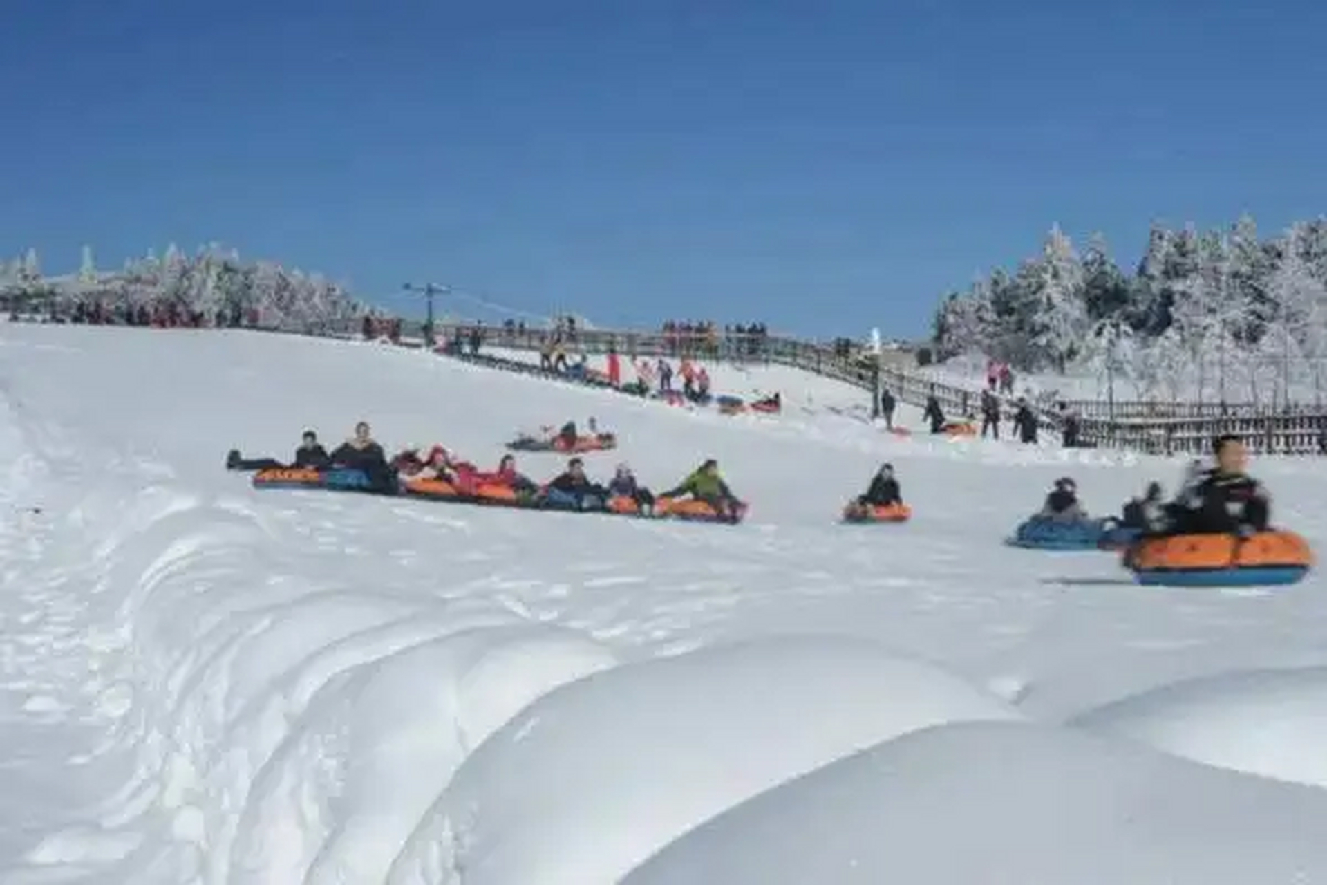 我的旅行日历 武隆仙女山滑雪场:是重庆市境内最知名的一个冬季滑雪