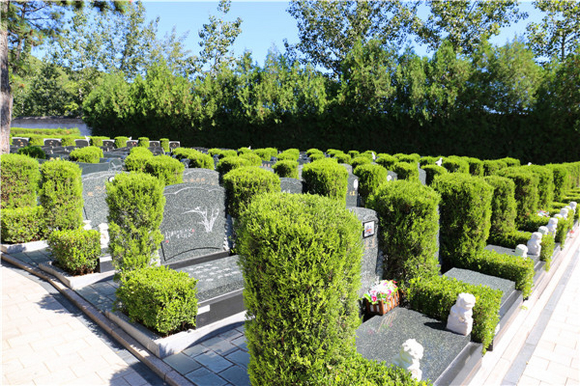 中国风水是很多人都重视的一件事,特别是中国的易经对风水有特别傻哪