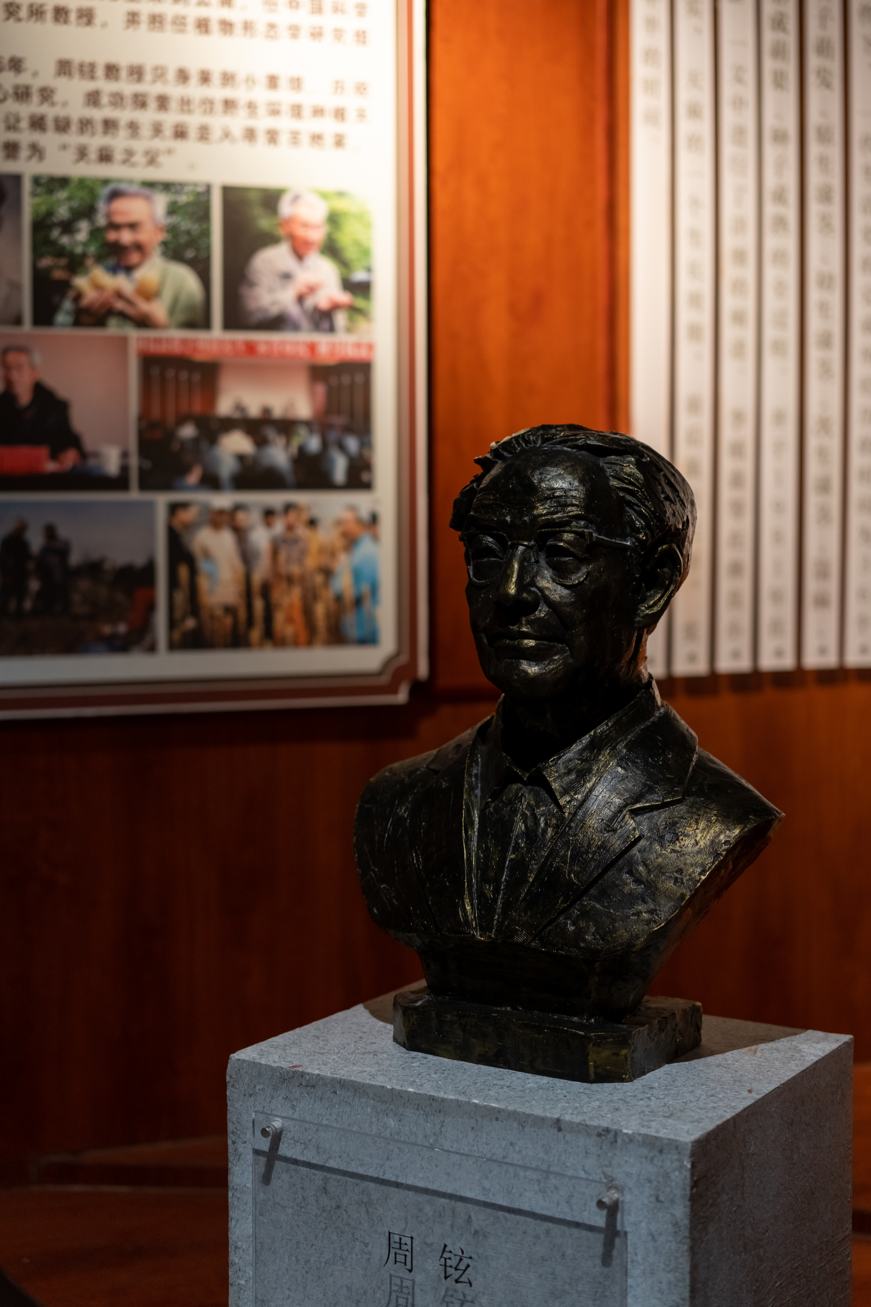 虽然在小草坝景区没有看到最好的峡谷飞瀑,弥漫的雾气遮住了风景