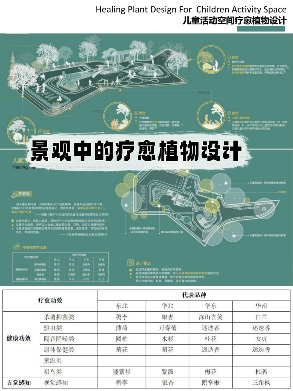景观中的疗愈植物设计!