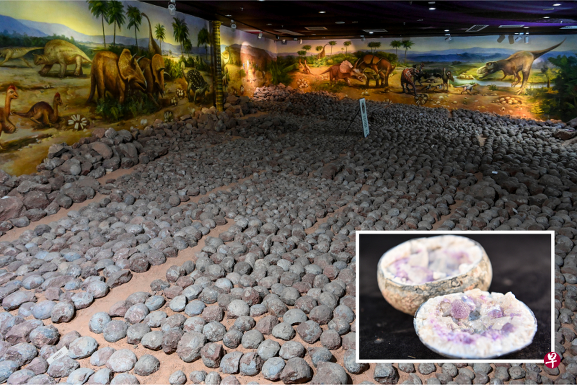 广东河源市的恐龙博物馆,收藏了超过2万个,距今6600万年的恐龙蛋化石.