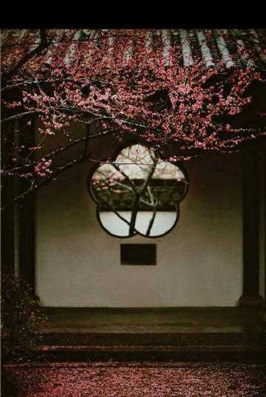 宠辱不惊,闲看庭前花开花落;[亲亲] 去留无意,漫随天外云卷云舒.