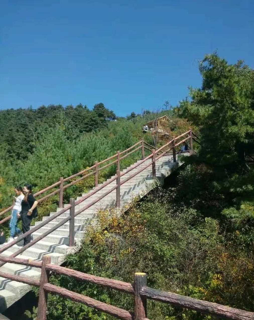 陕西天竺山森林公园,位于陕西省商洛市山阳县境内,国家4a级景区.