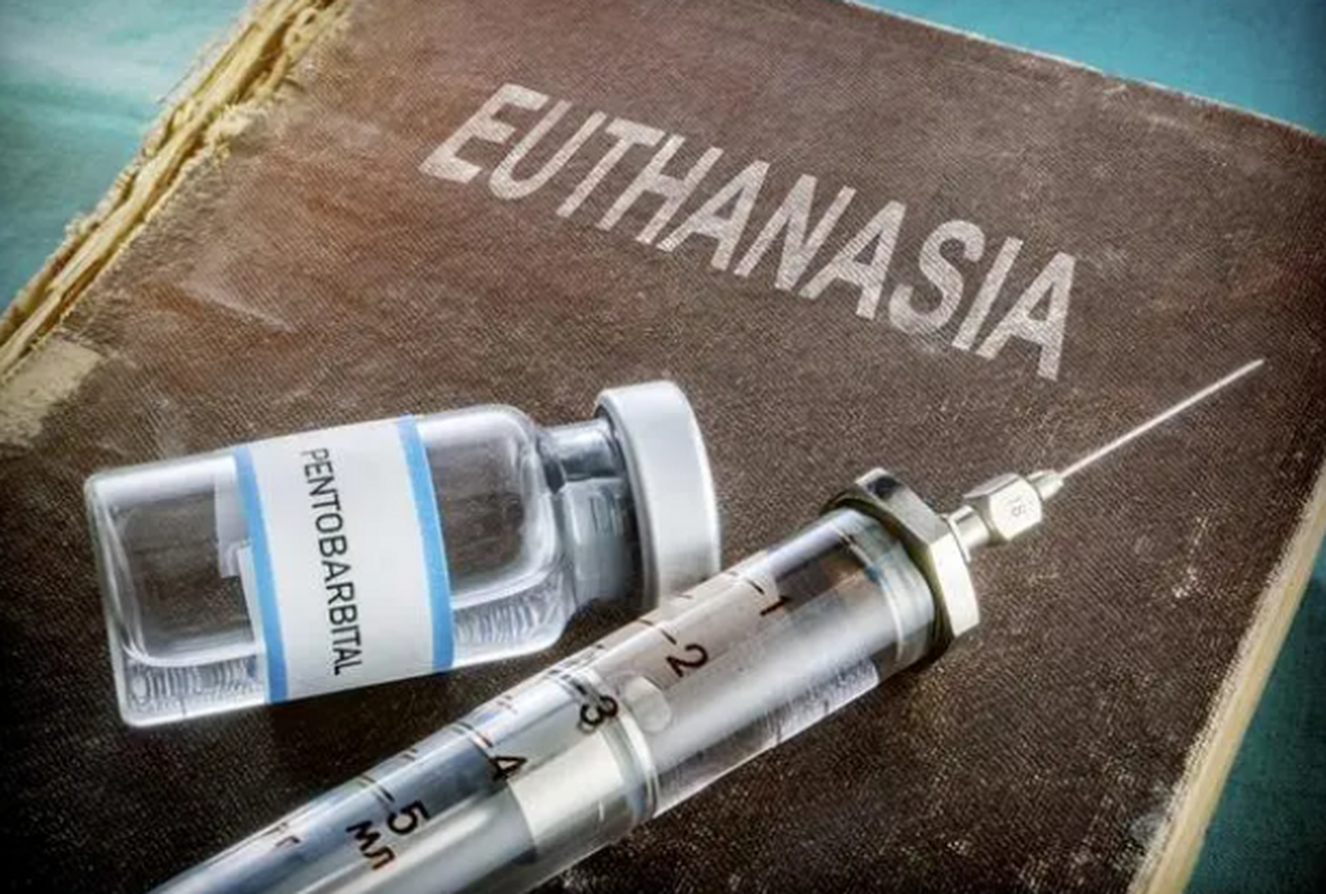 法国将成为下一个安乐死合法化国家?