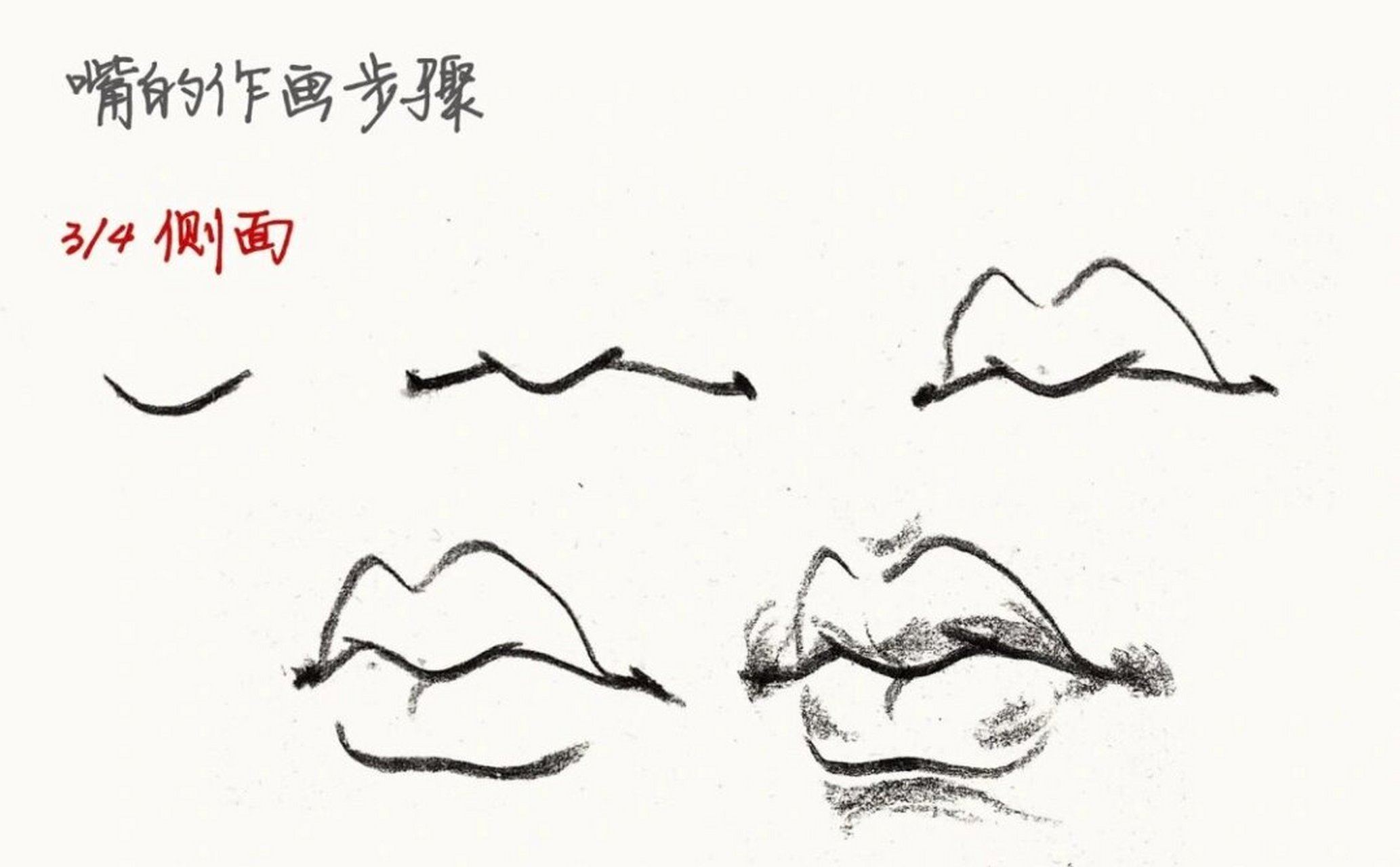 速写基础-嘴巴速写怎么画|一定要收藏  嘴巴的整体形状应该画成一个