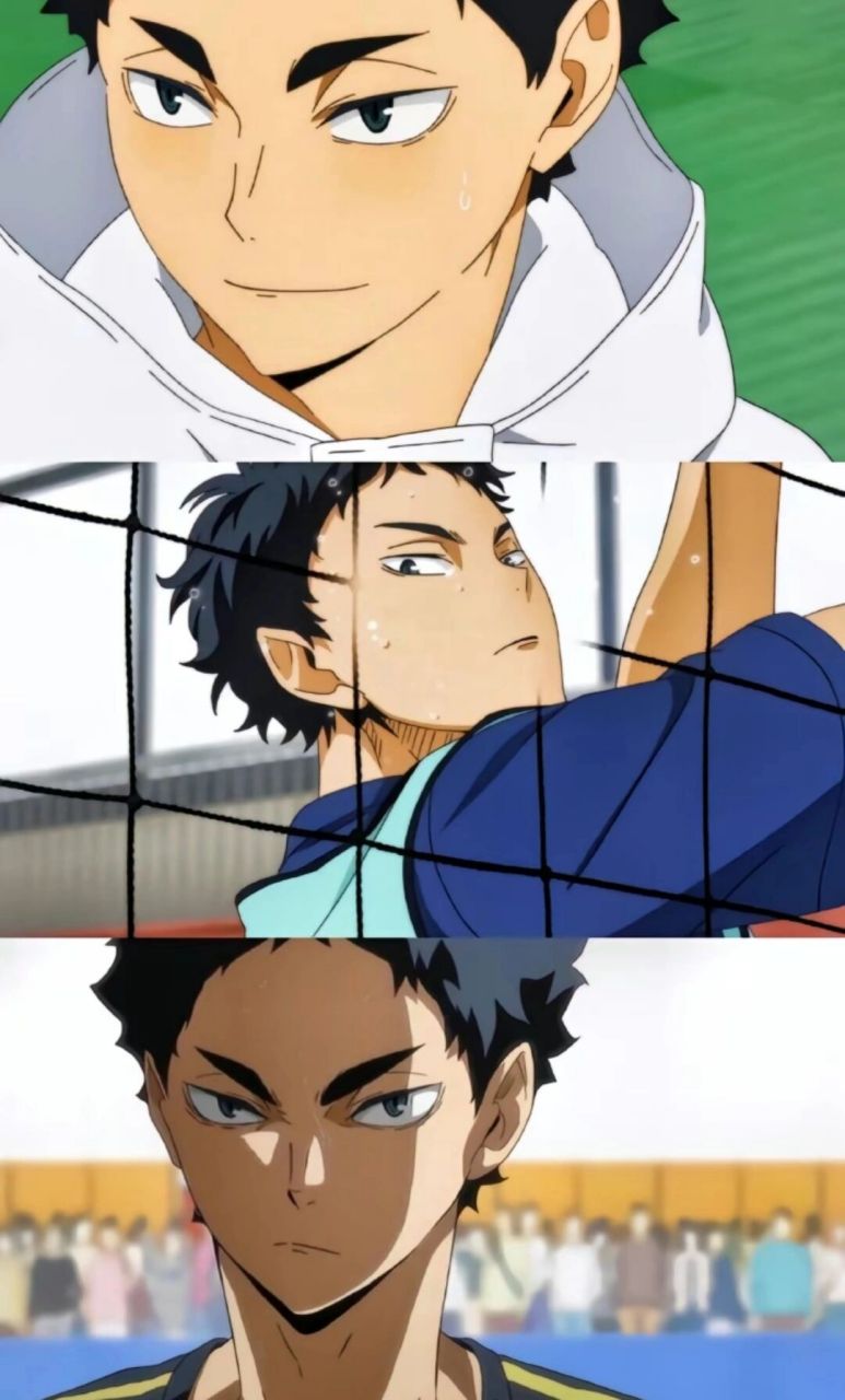 【排球少年】二传的美人们  众所周知二传分为美人和黄金川