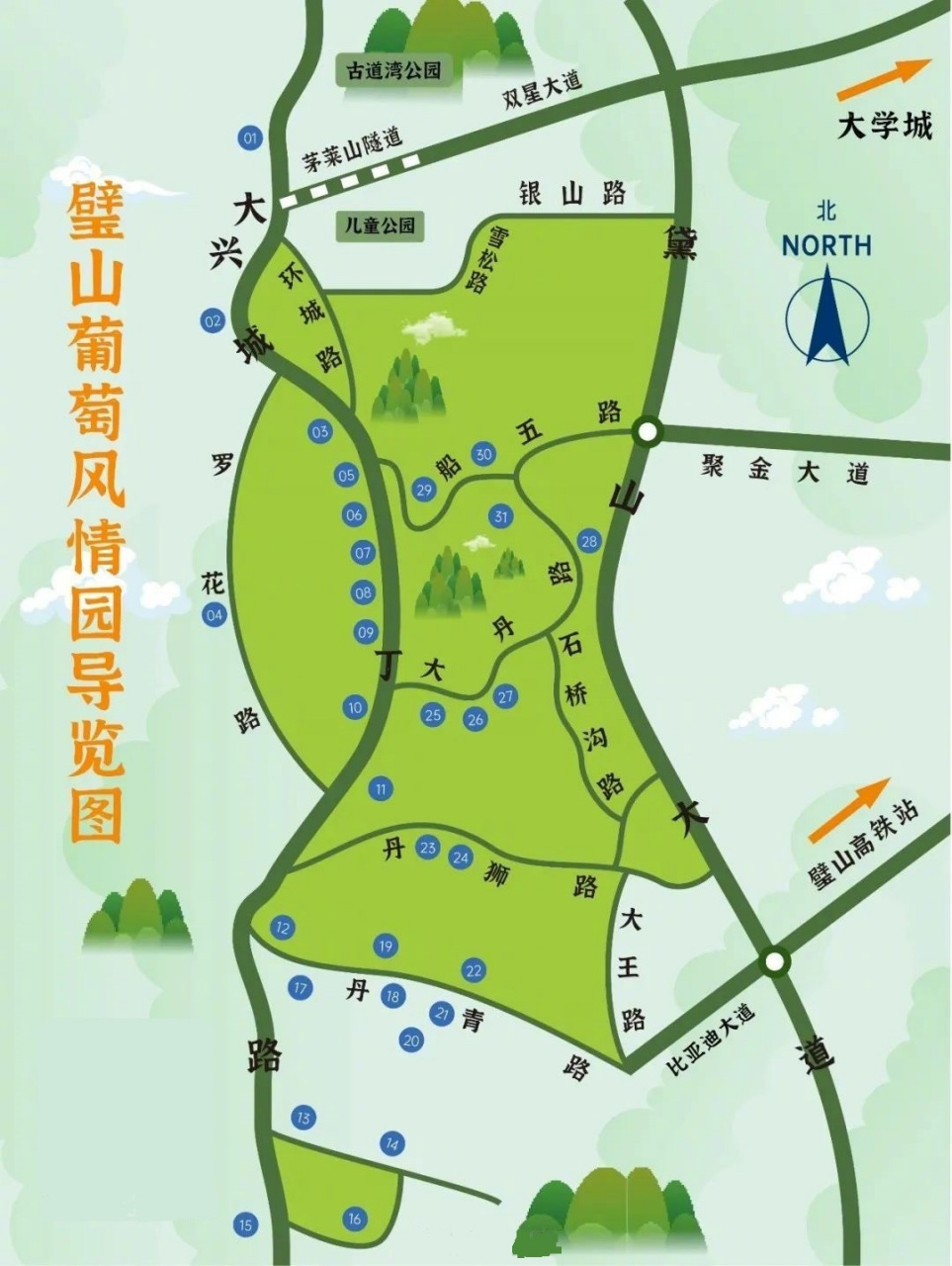 第十三届重庆璧山葡萄采摘季已拉开帷幕.