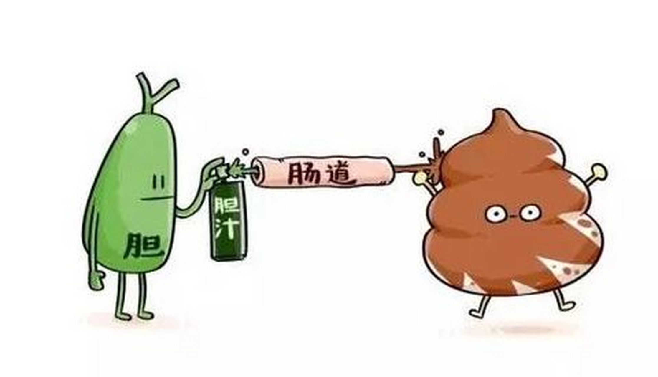 无胆可不代表是无胆英雄 在平台上观察到,许多人在经历了切胆手术之后