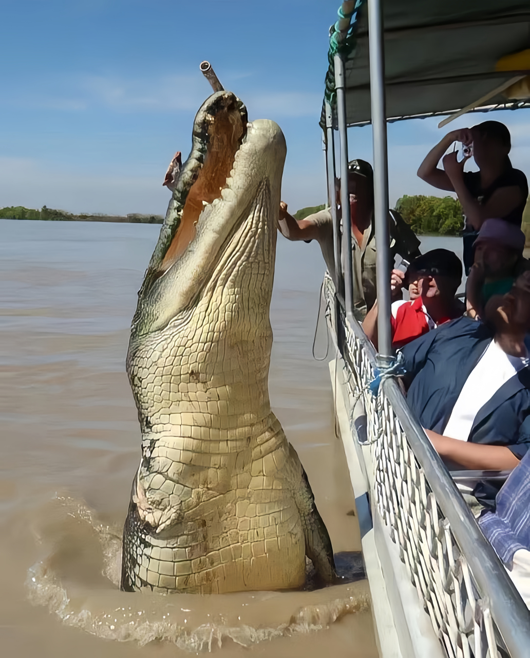 这只鳄鱼是什么样子的呢?它的体型如此庞大