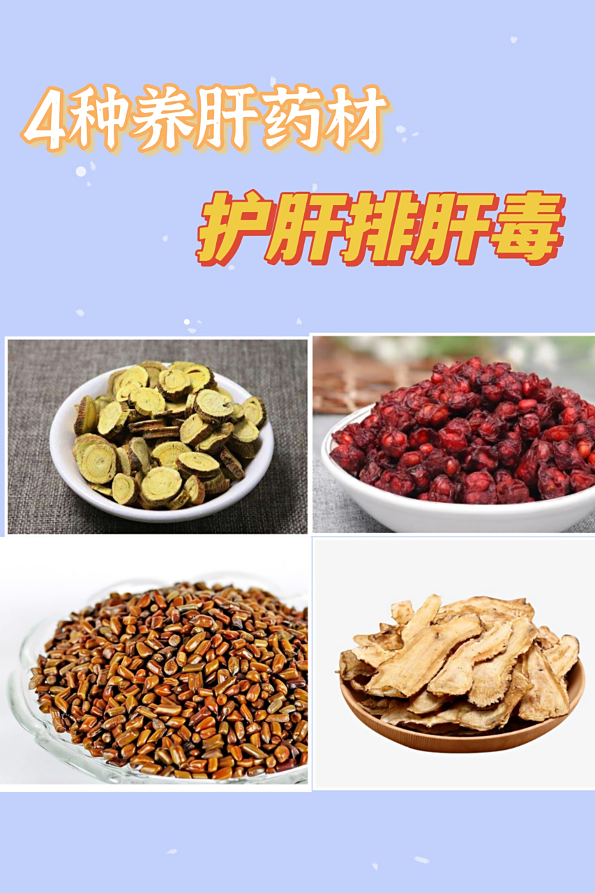 4种养肝药材,养肝护肝排肝毒,建议收好!