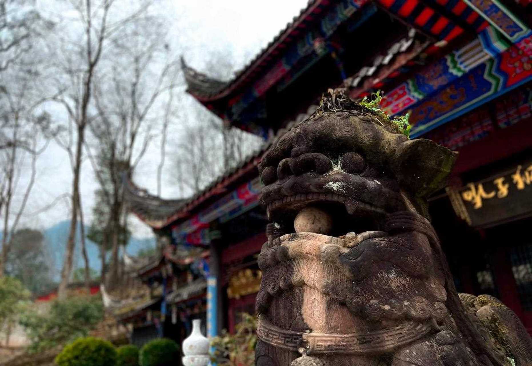 青城后山的千年古刹知道的人却很少,你听说过古泰安寺吗?
