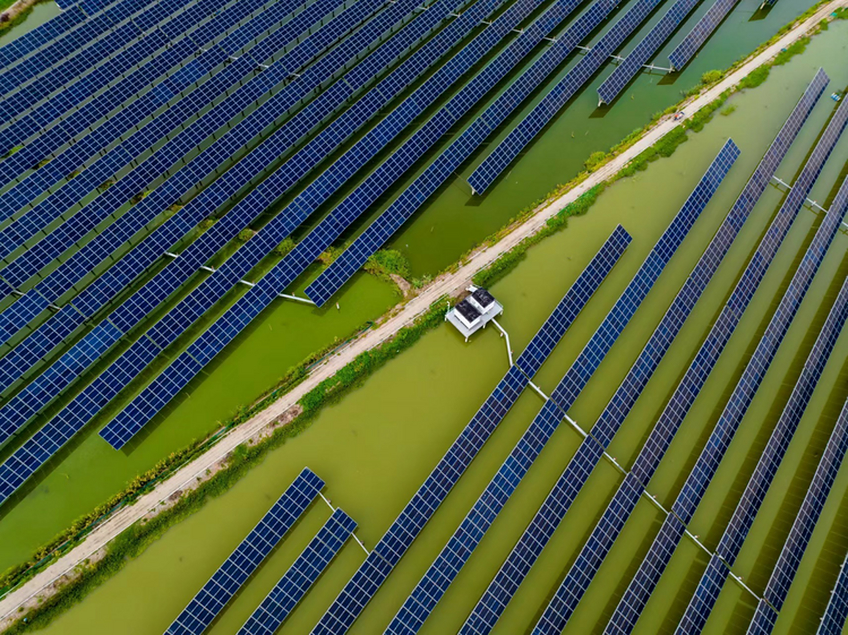 渔光互补与牧光互补:科技赋予乡村发展的绿色新希望!