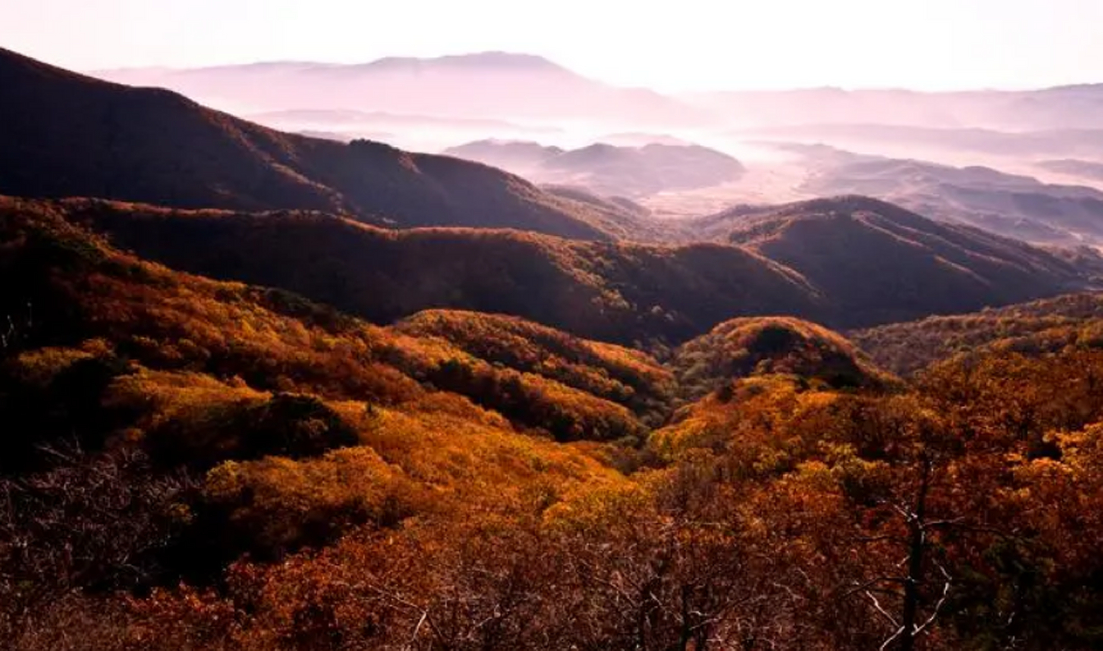 吉林最高山图片