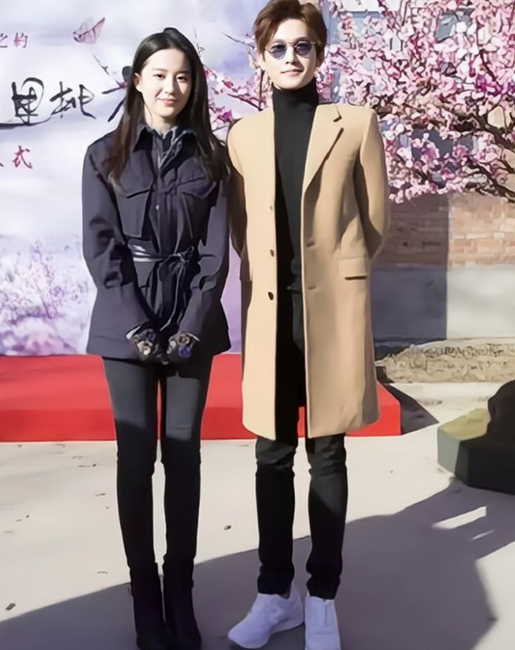 刘亦菲和杨洋的同框,两大颜值山脉,他们俩站一起真的很养眼啊!