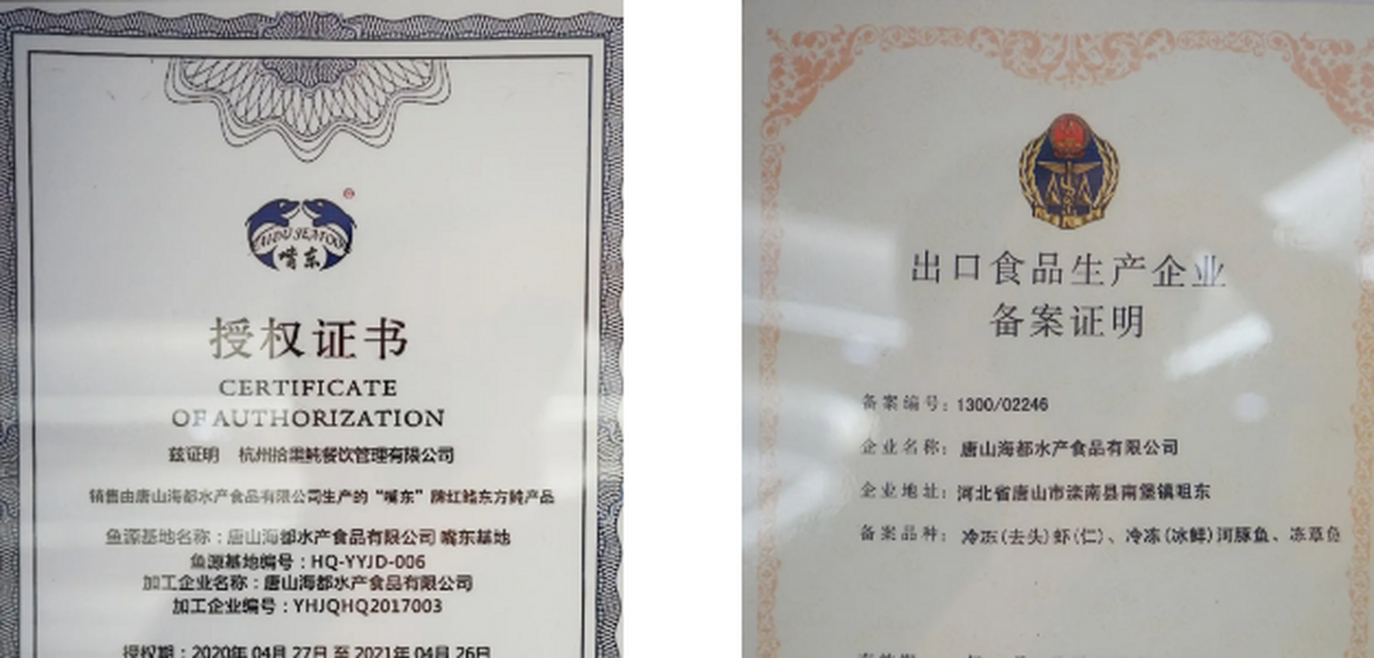 河豚鱼饺子 好吃不过饺子,吃过河豚鱼饺子饺子的人就少了,入口没有