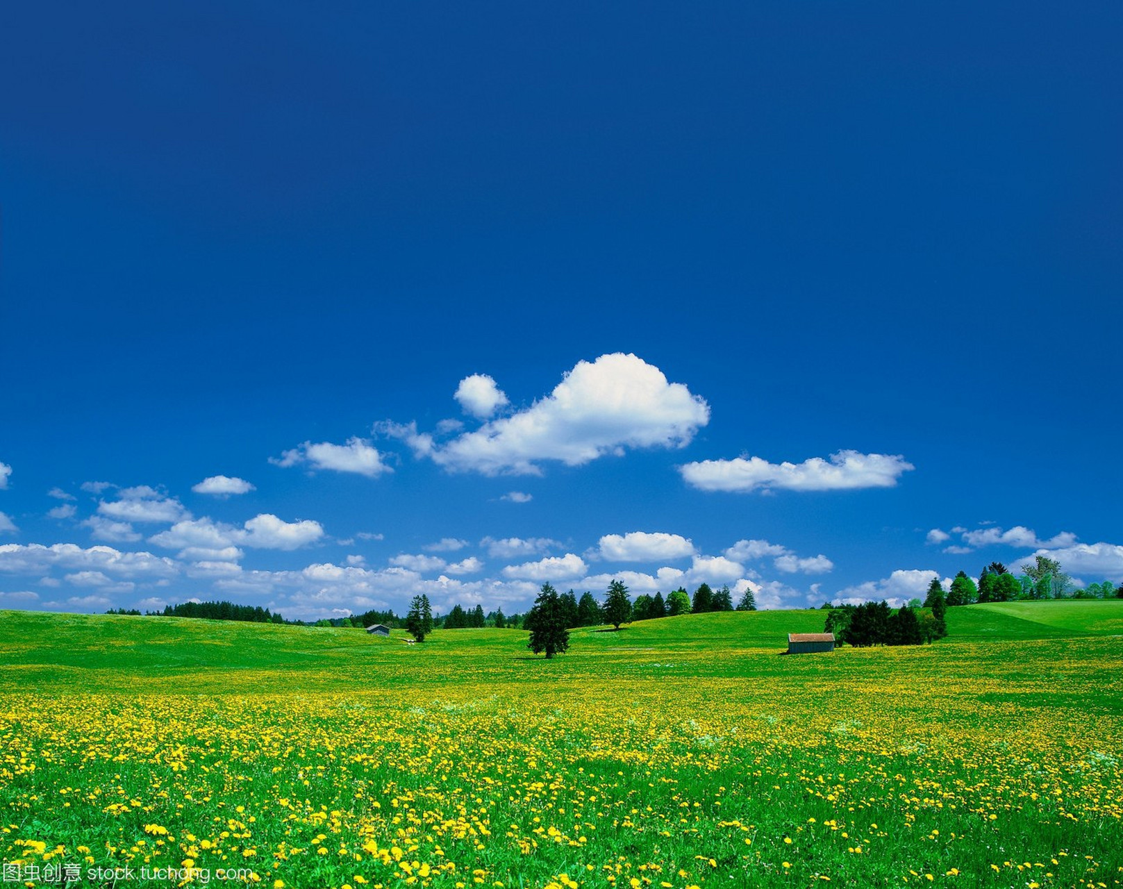 来看看今天分享的,ar厂劳力士蓝面游艇复刻手表