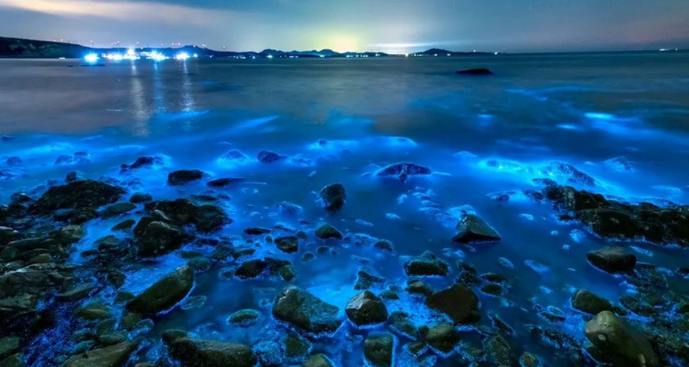 世界最神奇自然奇观 荧光海滩——马尔代夫 夜幕下,蜿蜒的海滩星海