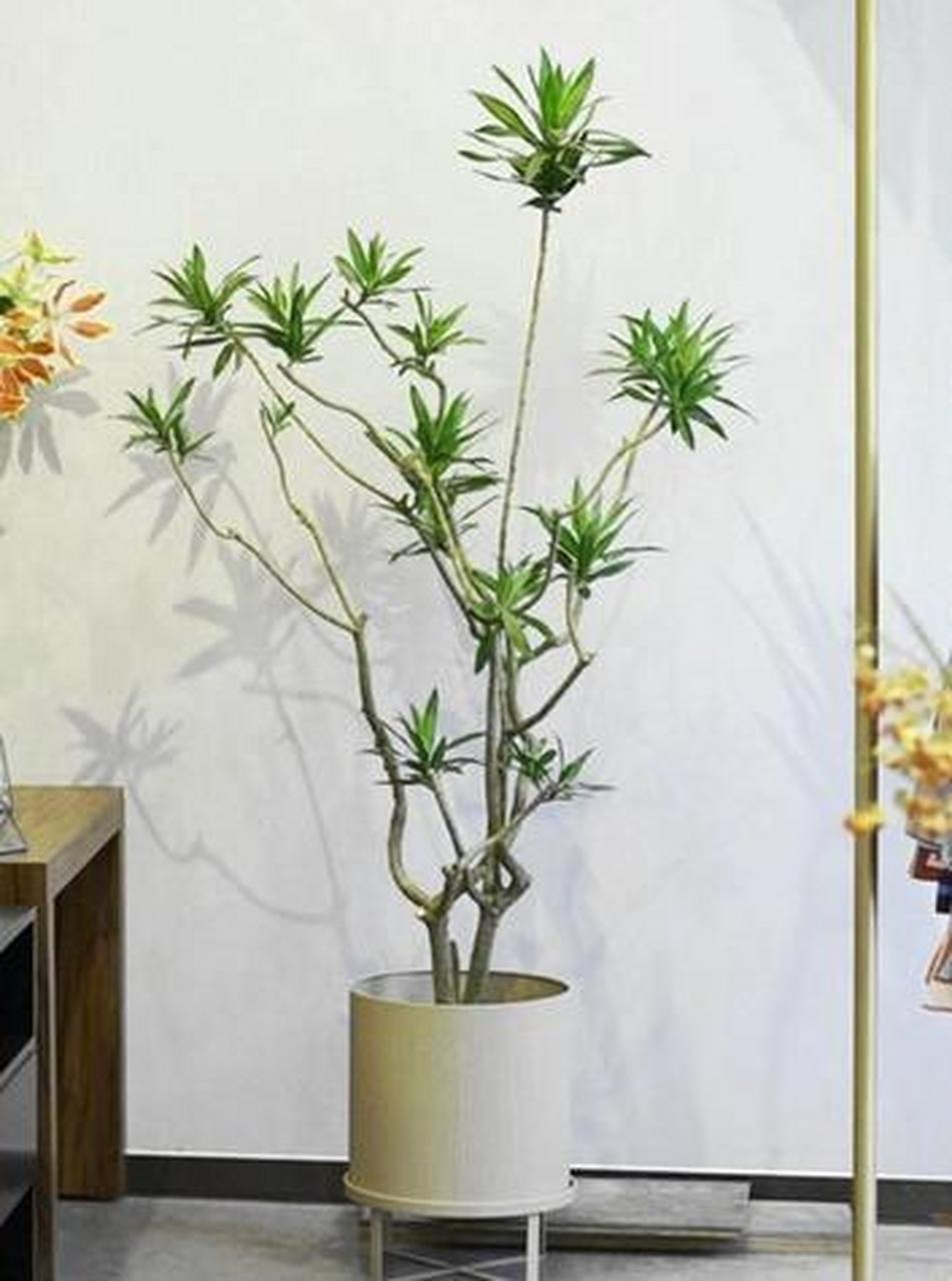 百合竹寓意百事和顺,又有竹子的清韵高贵  "宁可食无肉,不可居无竹"