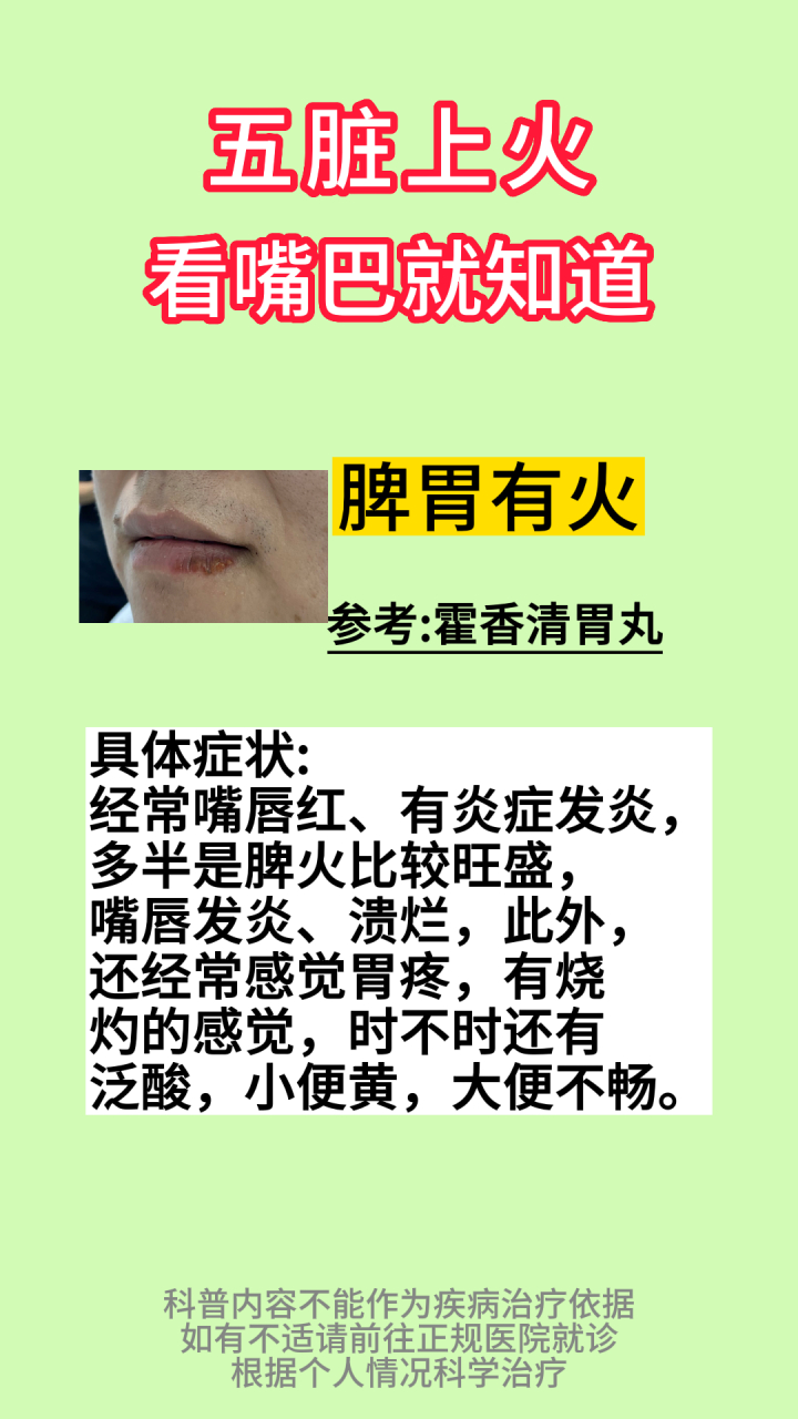 唇部对应的五脏六腑图图片