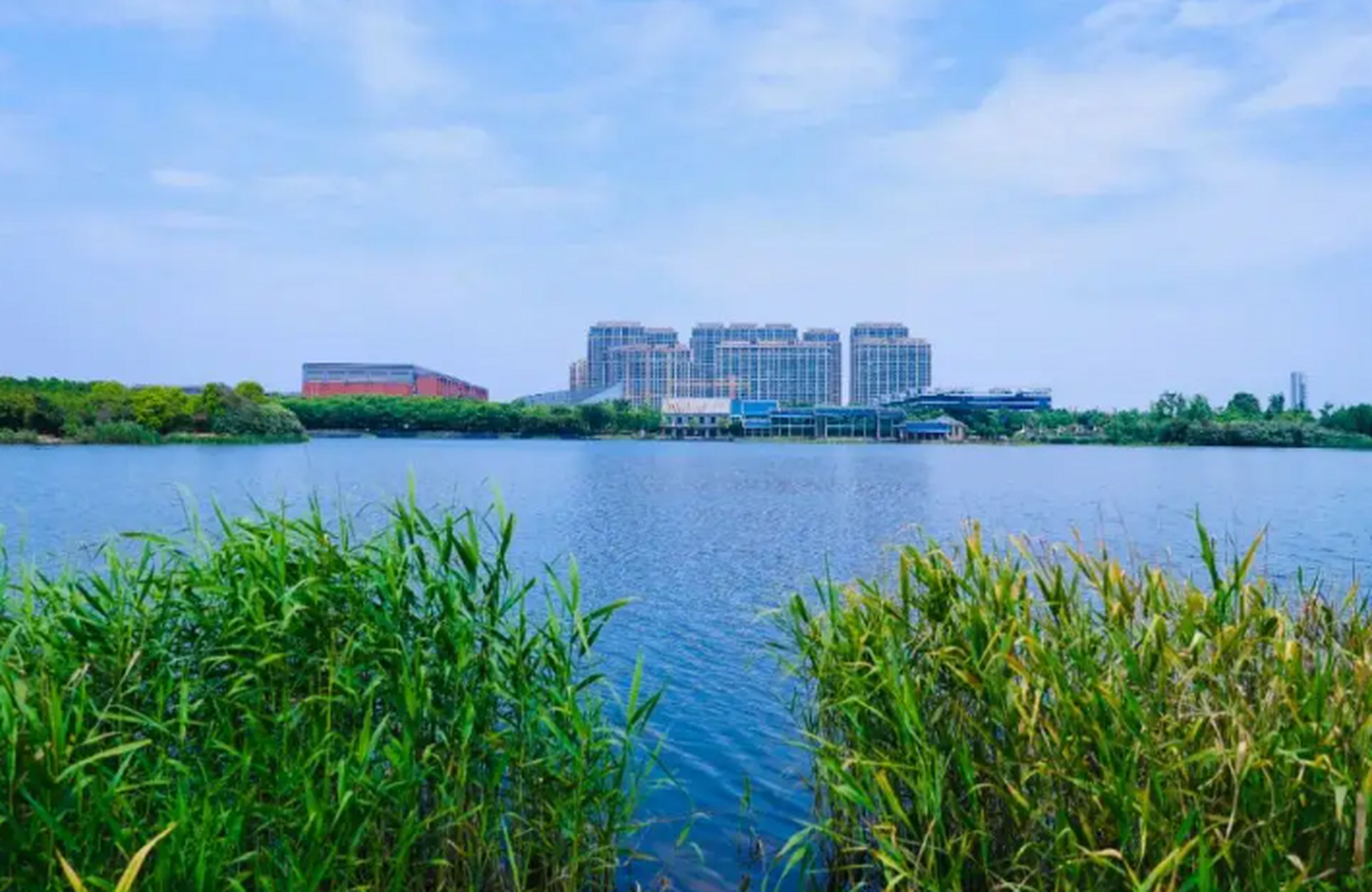 钱塘新区东沙湖,这里有湖水碧波荡漾,犹如一块无瑕美玉;这里有树木