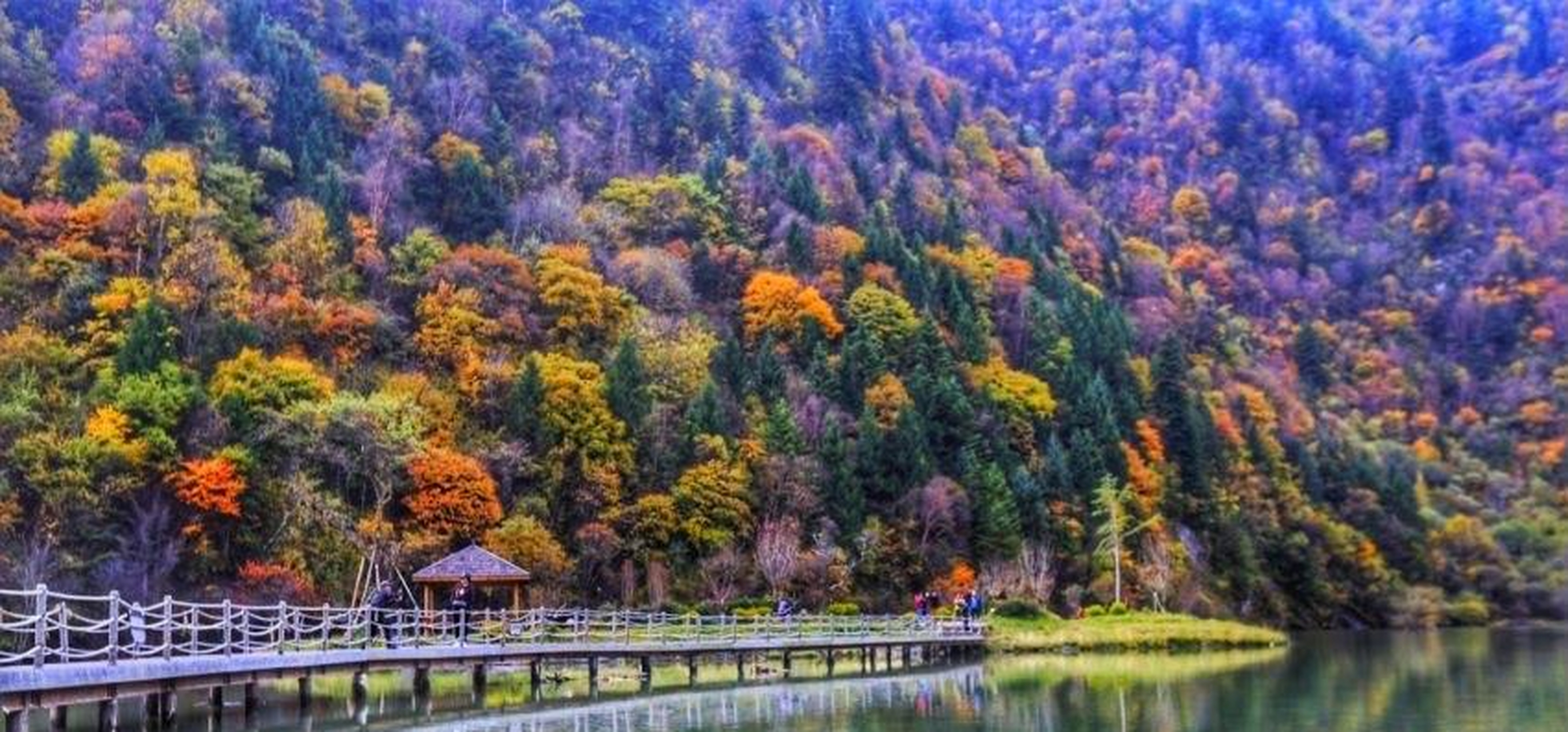 "黑水彩林最佳观赏期是号到1中旬.