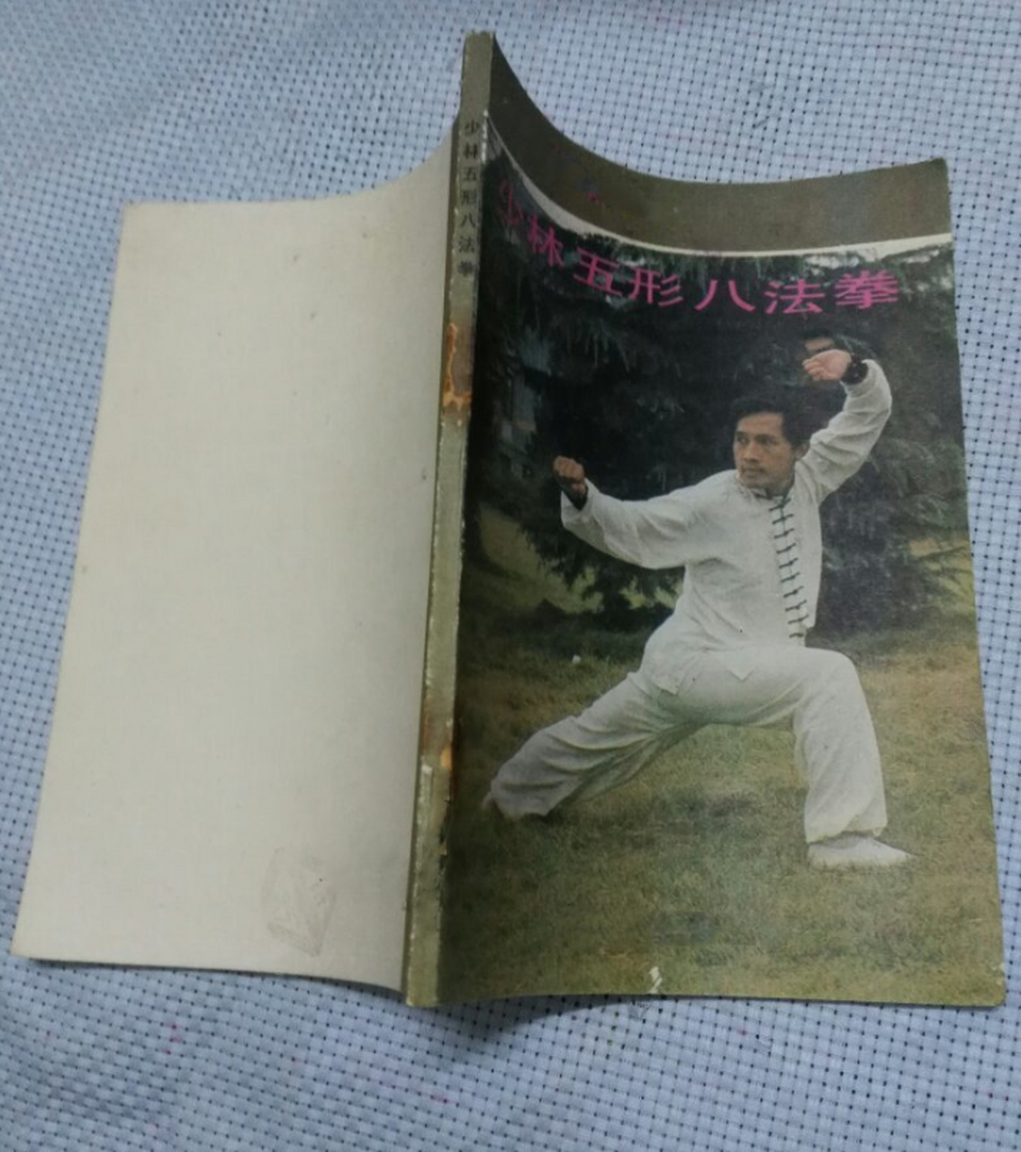 传统武术拳种:少林五形拳 少林五形拳(也叫"少林五行八法拳")源于北派