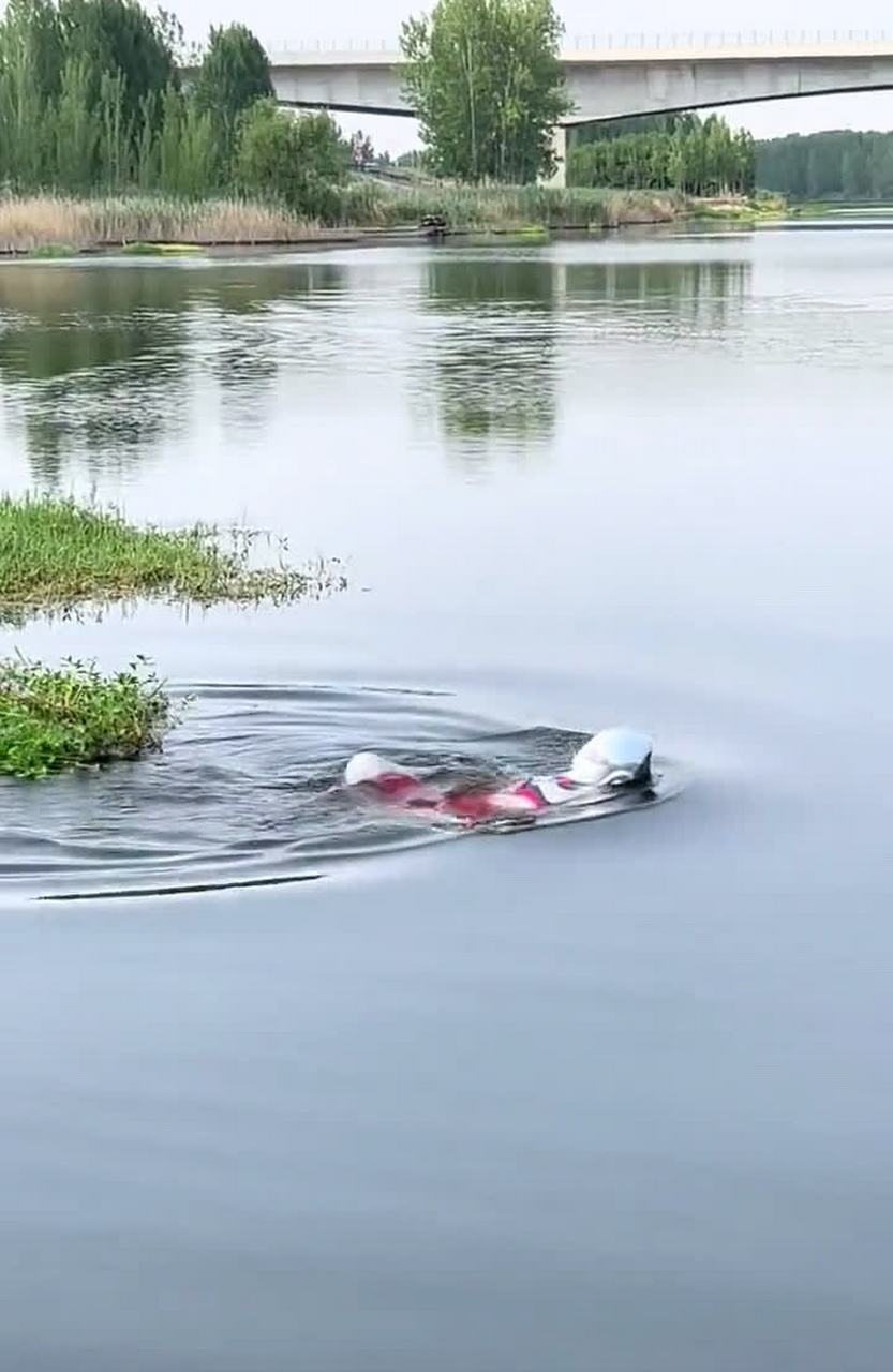 我发现了一只野生奥特曼,我很想捕捉它!