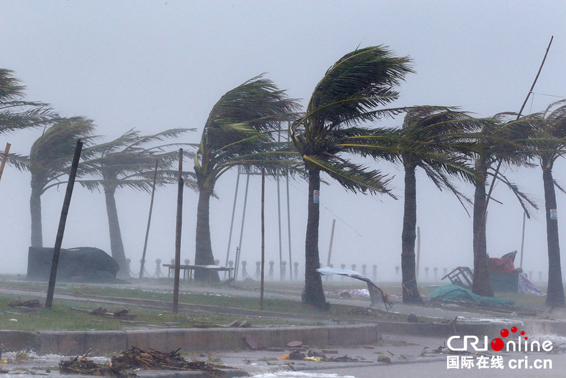台风杜苏芮登陆晋江# 【注意防范!