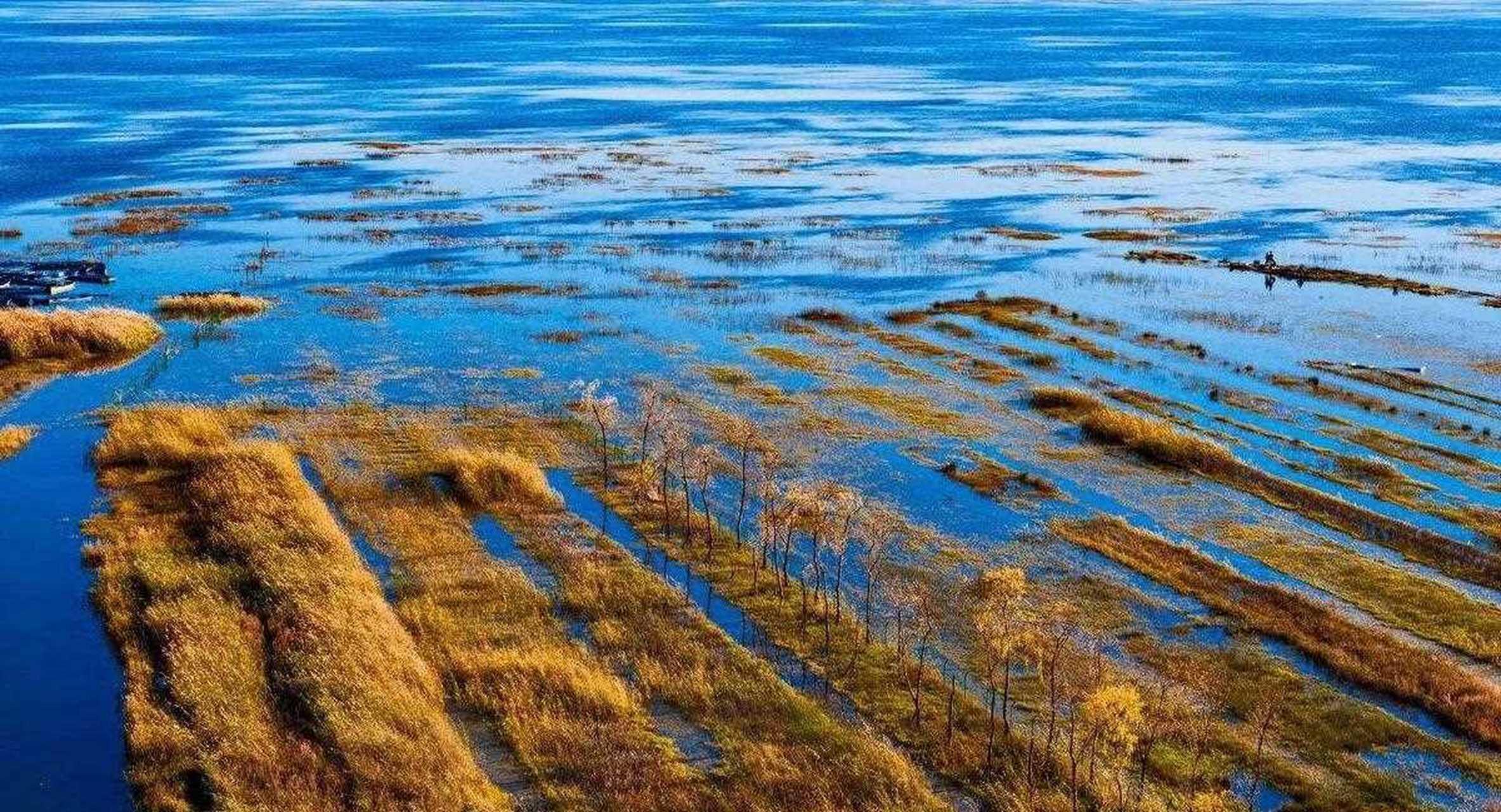 高原明珠—贵州威宁草海,中国著名三大高原湖泊(草海,滇池,青海湖)