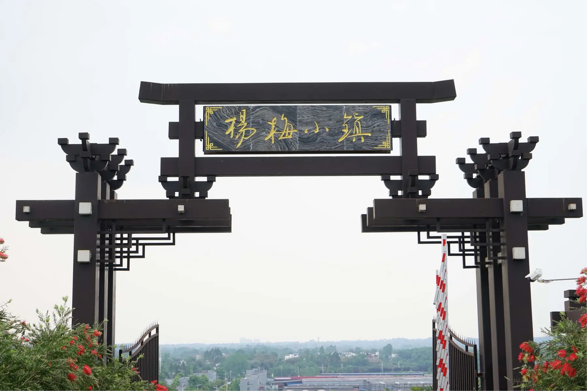 成都双流杨梅小镇:这里拥有西部杨梅产业和各色三角梅及各种玫瑰花树