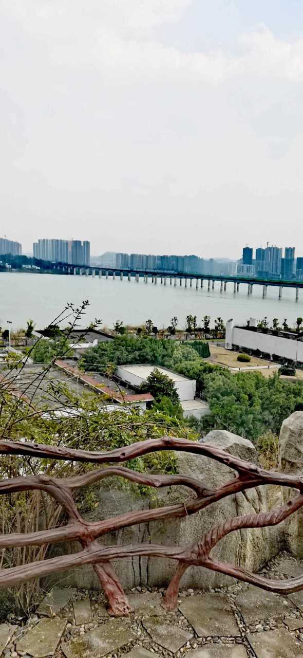 【走四川·南充】——嘉陵江畔的双女石公园,树泛新绿,休憩亭,木栈道