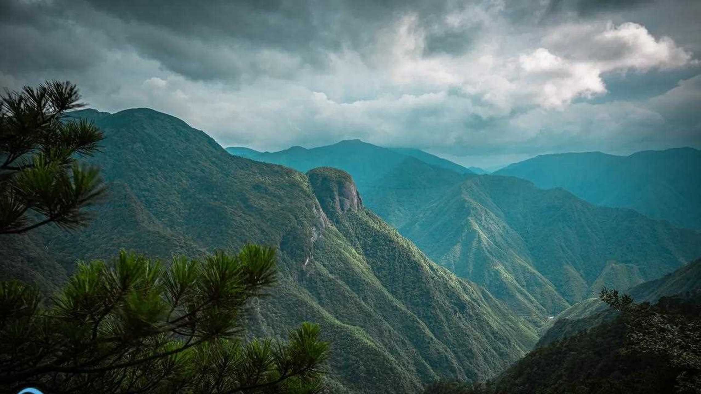 位于浙江省丽水市龙泉市凤阳山百山祖国家级自然保护区内的龙泉山,为