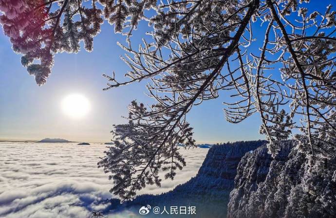 【雪后的四川瓦屋山银装素裹】今天,四川瓦屋山景区迎