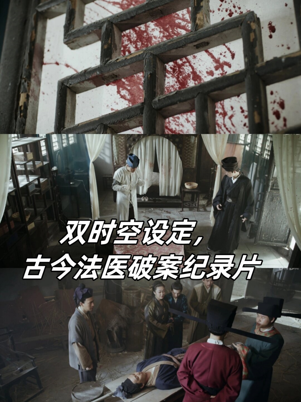 现代法医穿越到古代破案