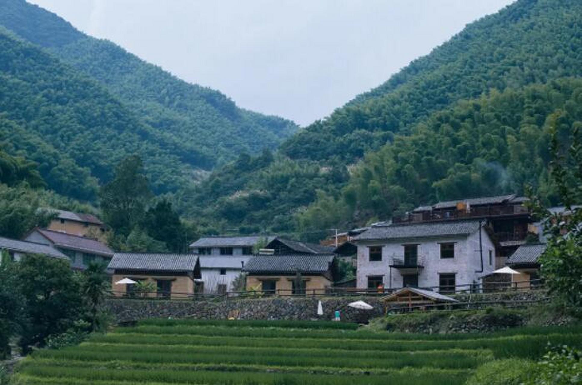 戴家山是莪山畲族乡海拔最高的自然村,最高峰海拨901米,平均海拔570米