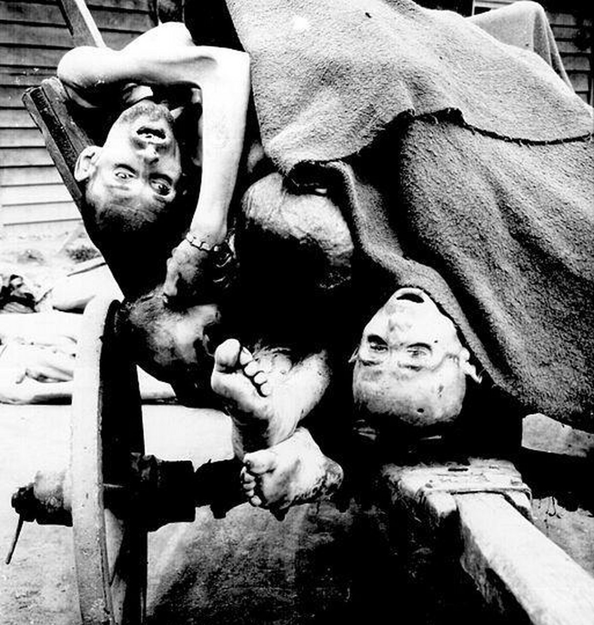 见证大屠杀:1945年,奥地利毛特豪森古森集中营的照片