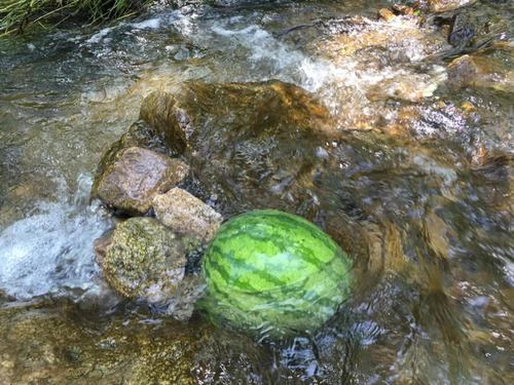 我爱夏天,因为夏天为什么在线 我爱夏天,因为夏天为什么在线