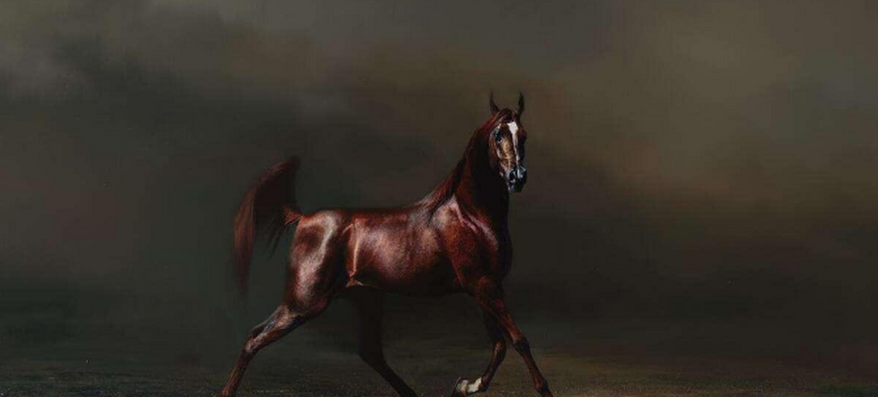 在我国繁衍了上千年的汗血宝马,如今为何绝迹了?