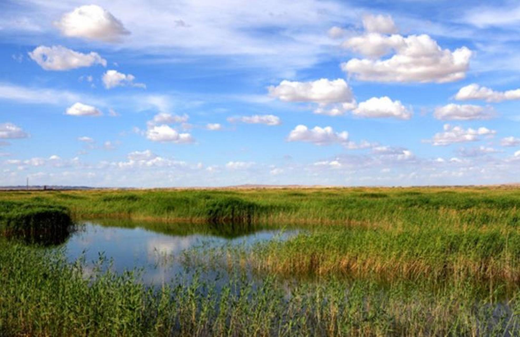 青土湖是甘肃民勤县境内的湖泊,最大时面积达1300平方公里,最小时也有