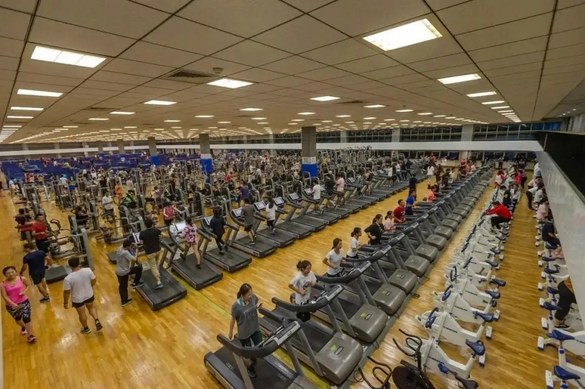 近日网上纷纷报道北京体育大学夜晚的健身房走红这真是太健康了,小