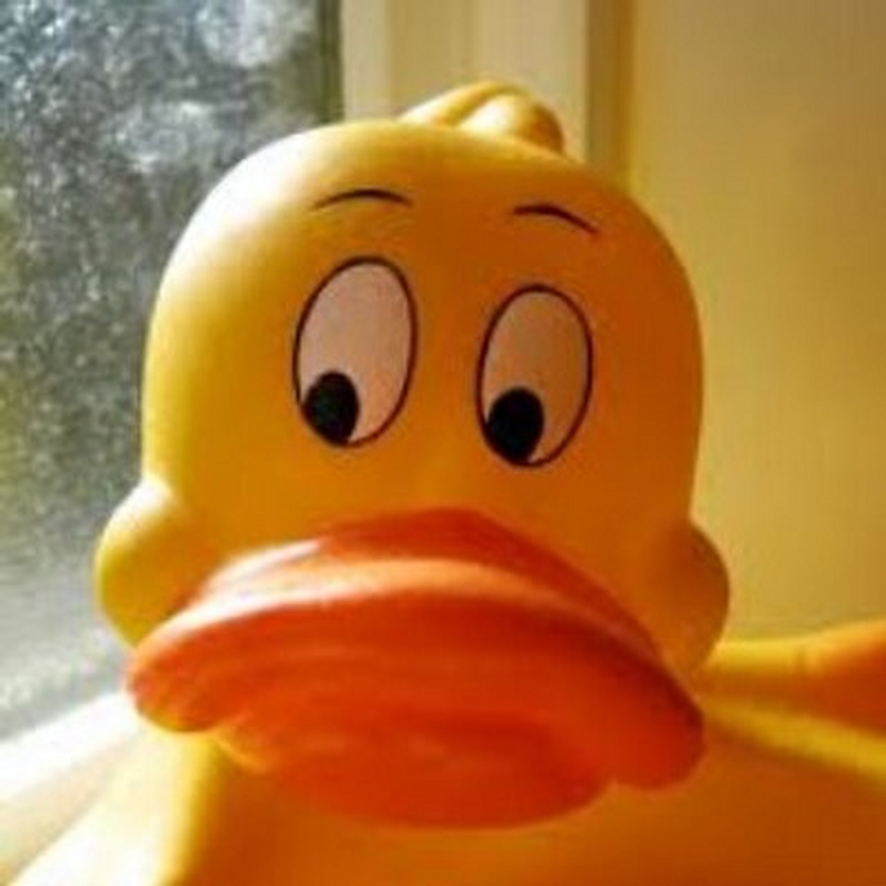 老外常说的duck face,可不是