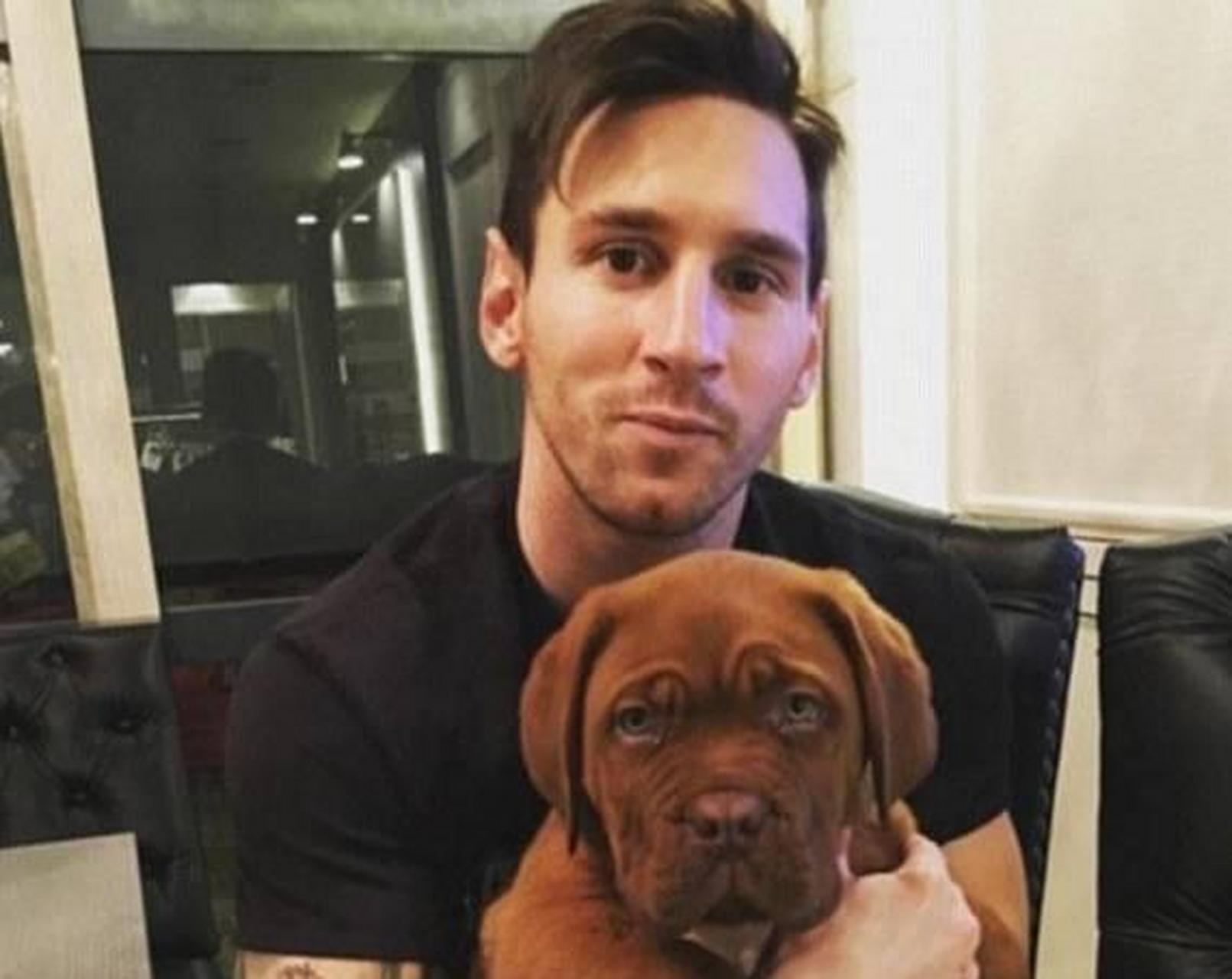 梅西的狗狗名叫浩克,是一条波尔多犬,每年花70万养它!